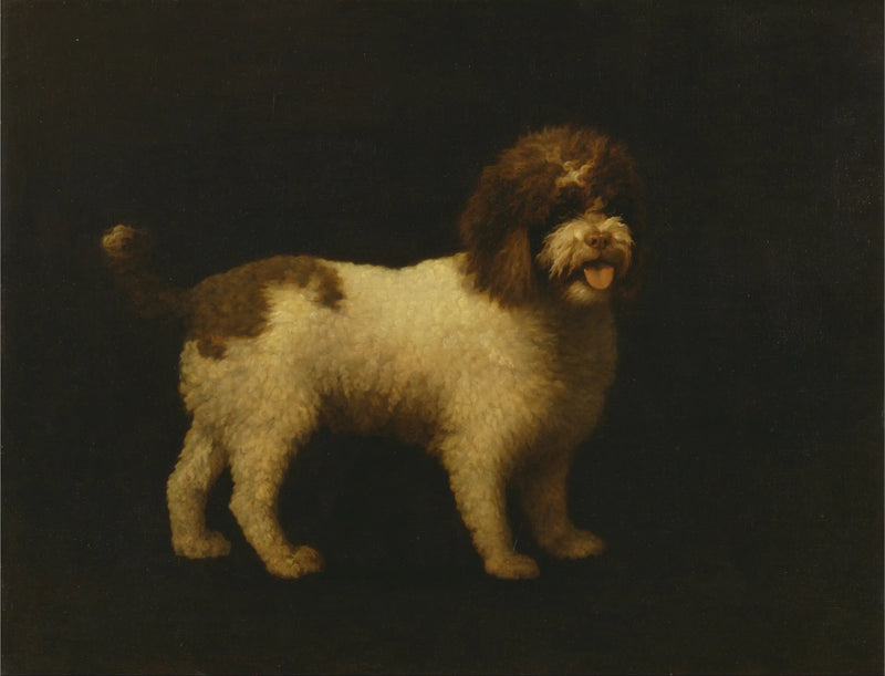 수달개 - 조지 스텁스

Source:
Épagneul d'eau - George Stubbs