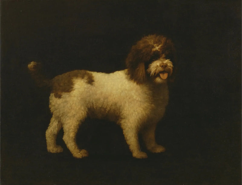 수달개 - 조지 스텁스

Source:
Épagneul d'eau - George Stubbs