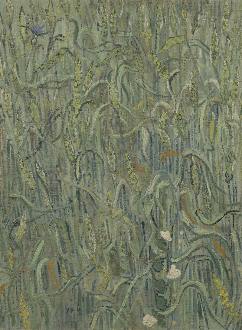 밀 이삭 - Vincent van Gogh