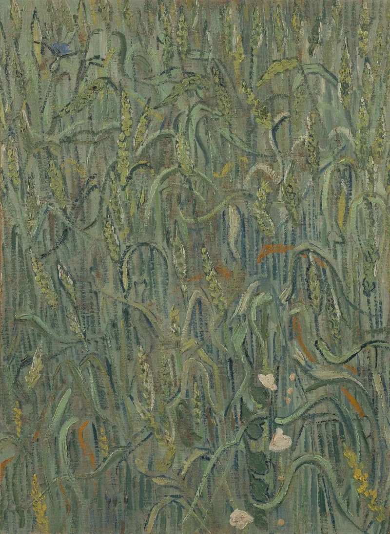 밀 이삭 - Vincent van Gogh