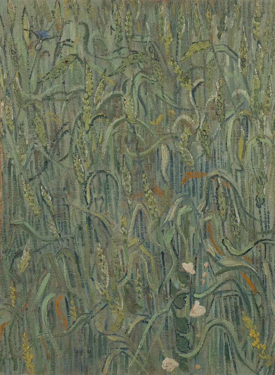 밀 이삭 - Vincent van Gogh