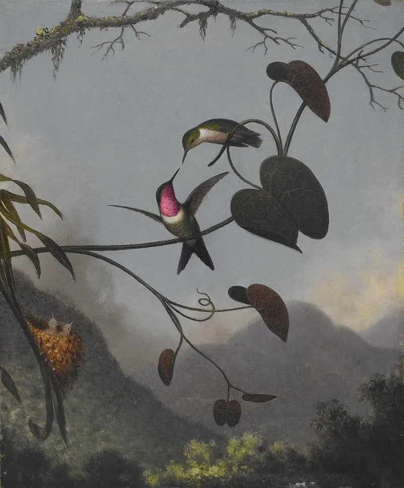 자수정 나무별 - 마틴 존슨 헤이드

Source:
Étoile des bois améthyste - Martin Johnson Heade