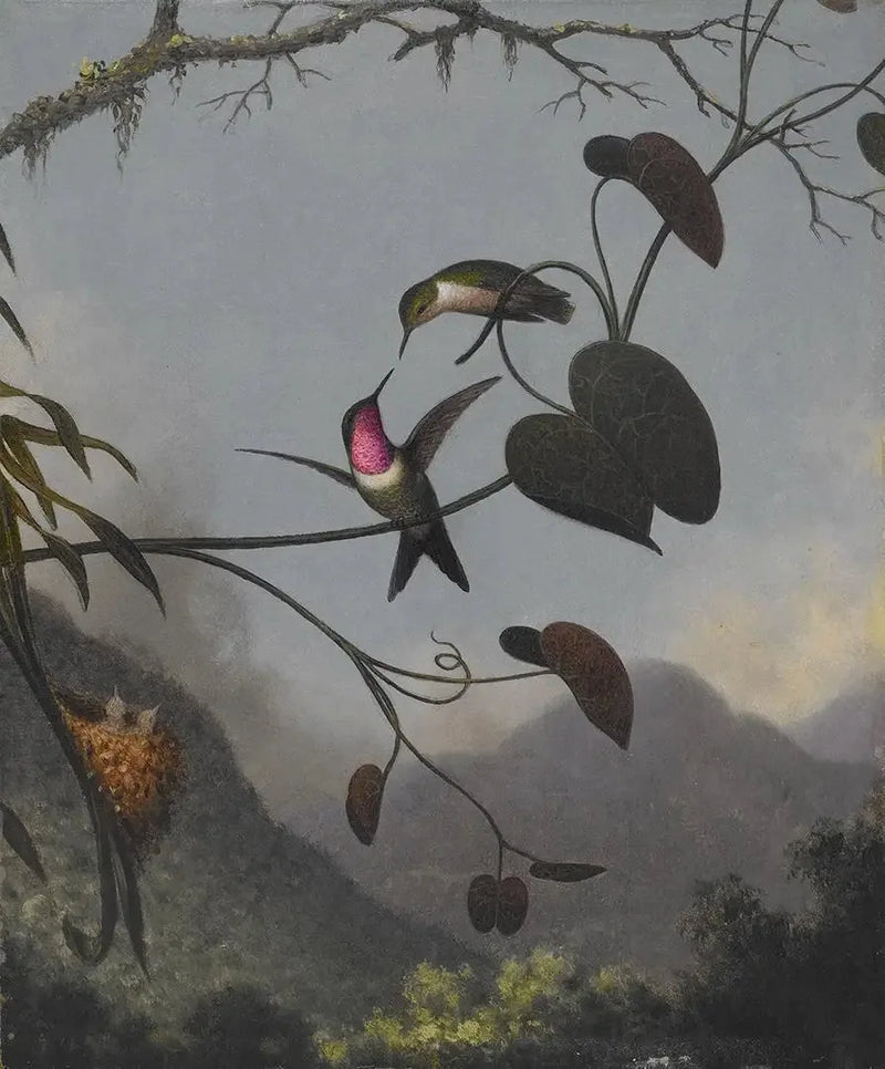 자수정 나무별 - 마틴 존슨 헤이드

Source:
Étoile des bois améthyste - Martin Johnson Heade