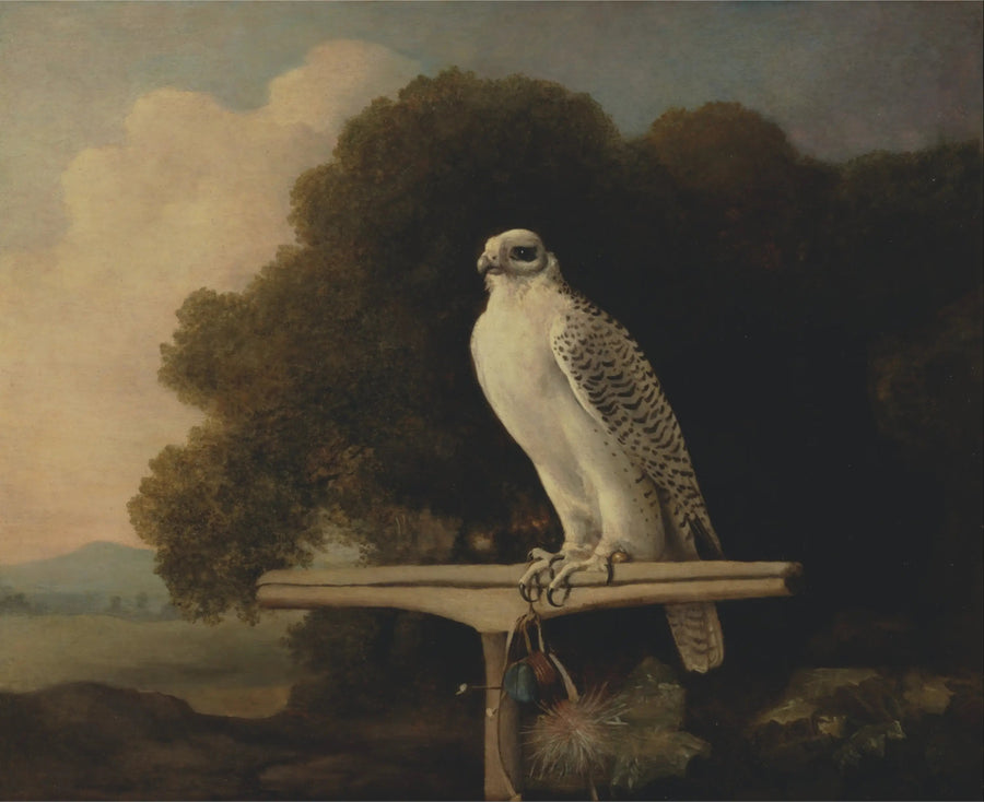 그린란드 매 - 조지 스터브스

Source:
Faucon du Groenland - George Stubbs