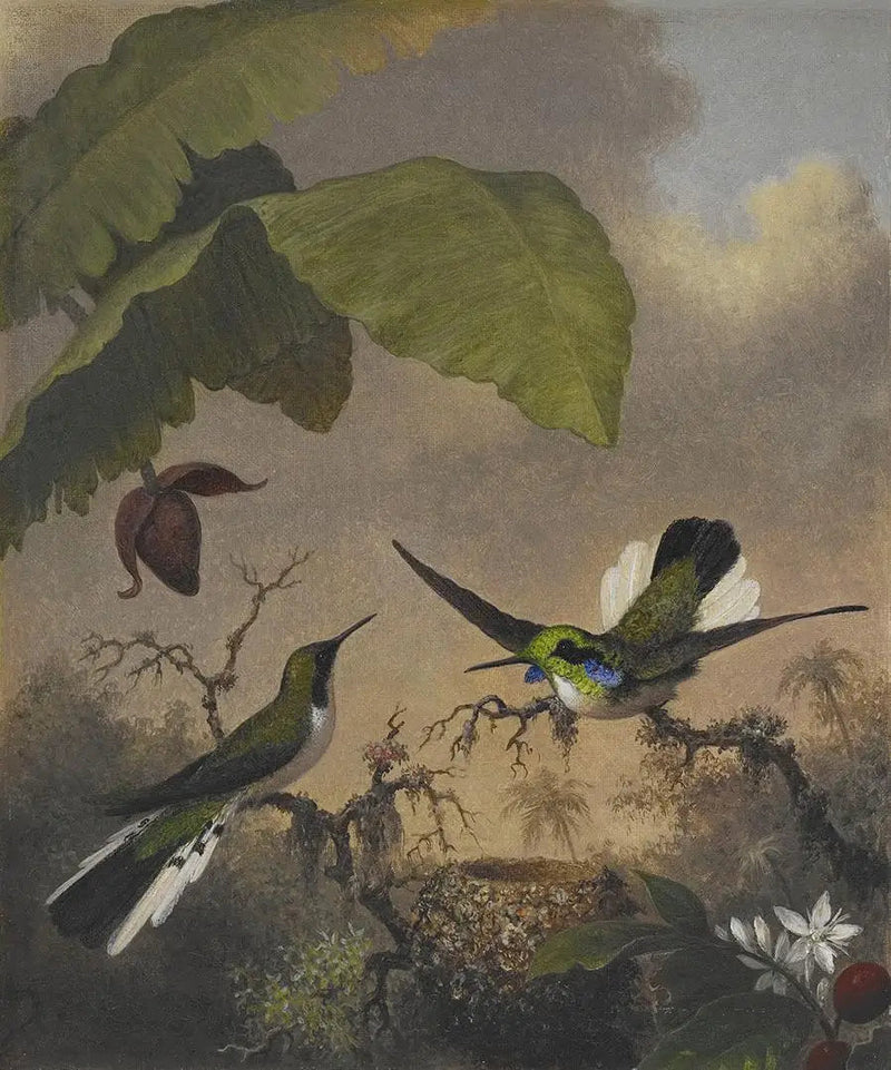 검은 귀 요정 - 마틴 존슨 헤이드

Source:
Fée aux oreilles noires - Martin Johnson Heade