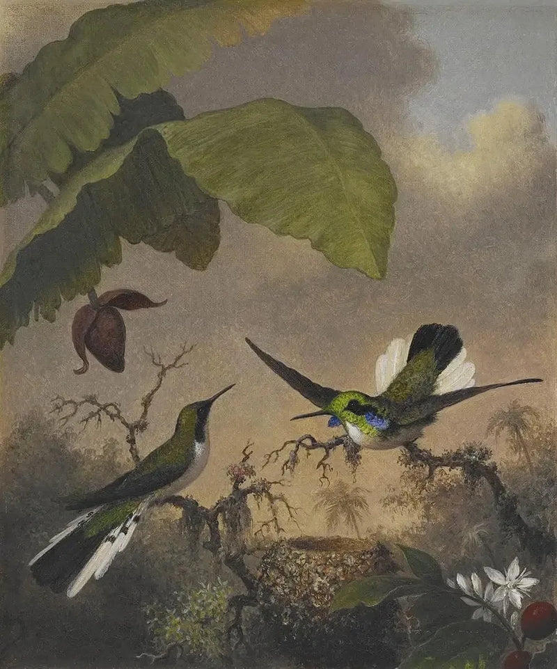 검은 귀 요정 - 마틴 존슨 헤이드

Source:
Fée aux oreilles noires - Martin Johnson Heade