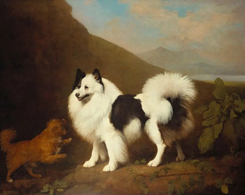 피노와 타이니 - 조지 스터브스

Source:
Fino et Tiny - George Stubbs