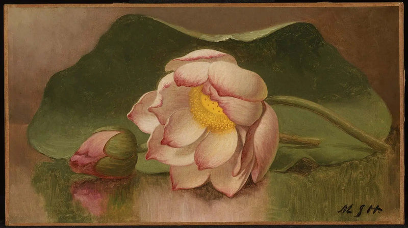 연꽃 - 마틴 존슨 헤이드

Source:
Fleur de lotus - Martin Johnson Heade