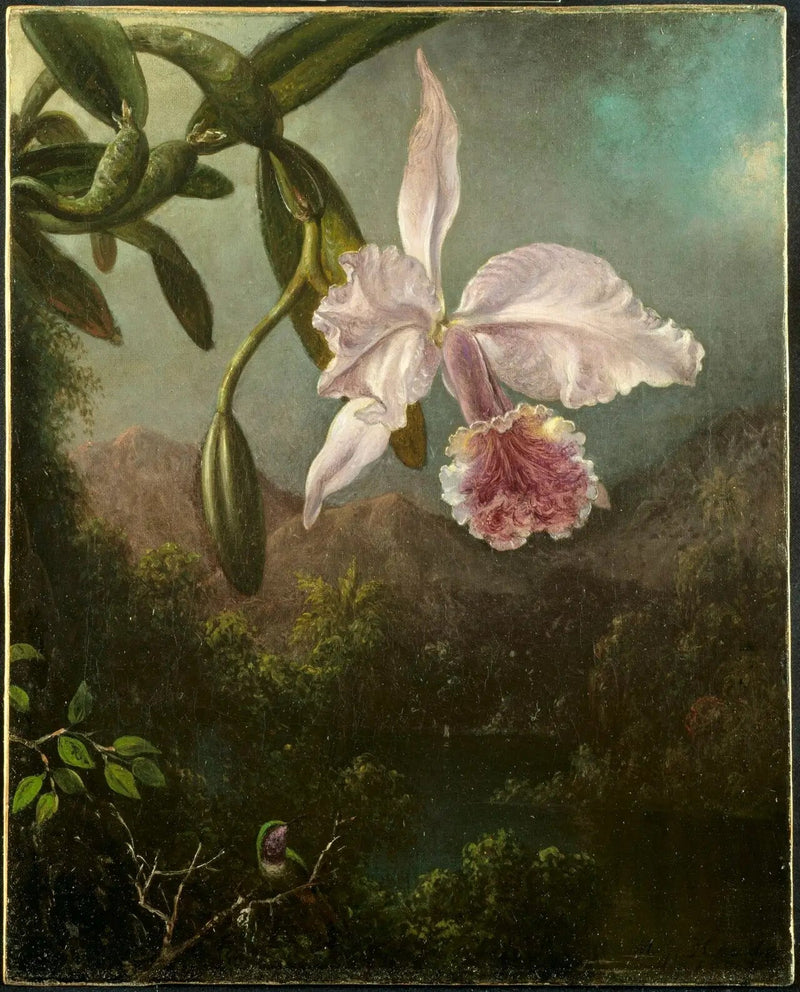 오키드 꽃 - 마틴 존슨 헤이드

Source:
Fleurs d'orchidées - Martin Johnson Heade
