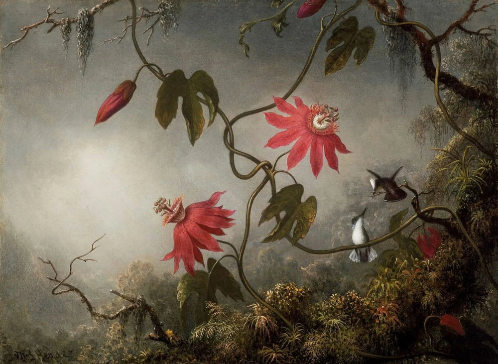 Fleurs de la passion et Colibris - Martin Johnson Heade image 1 reproduction d’œuvre d’art à l’huile