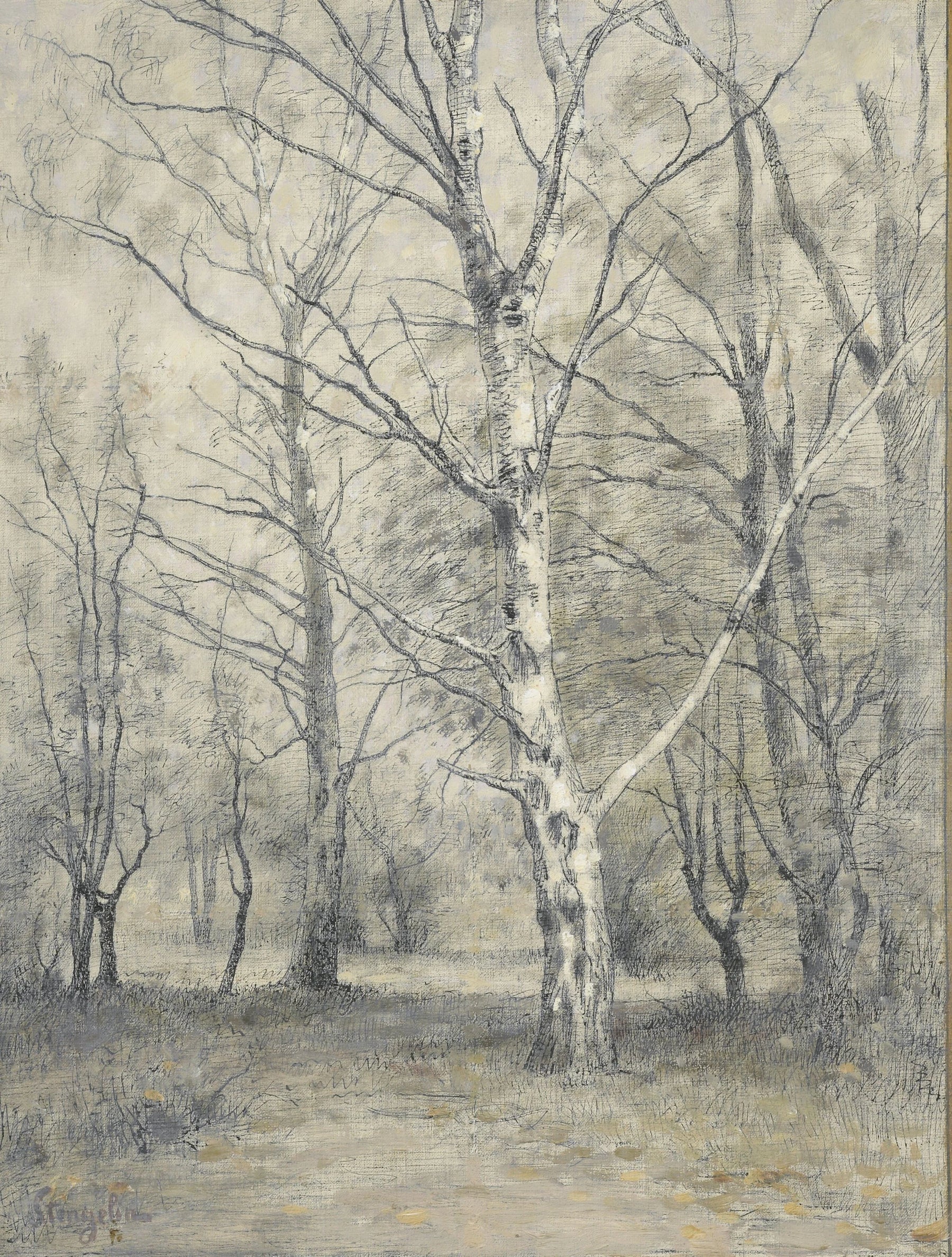 Forêt de bouleaux - Alphonse Stengelin