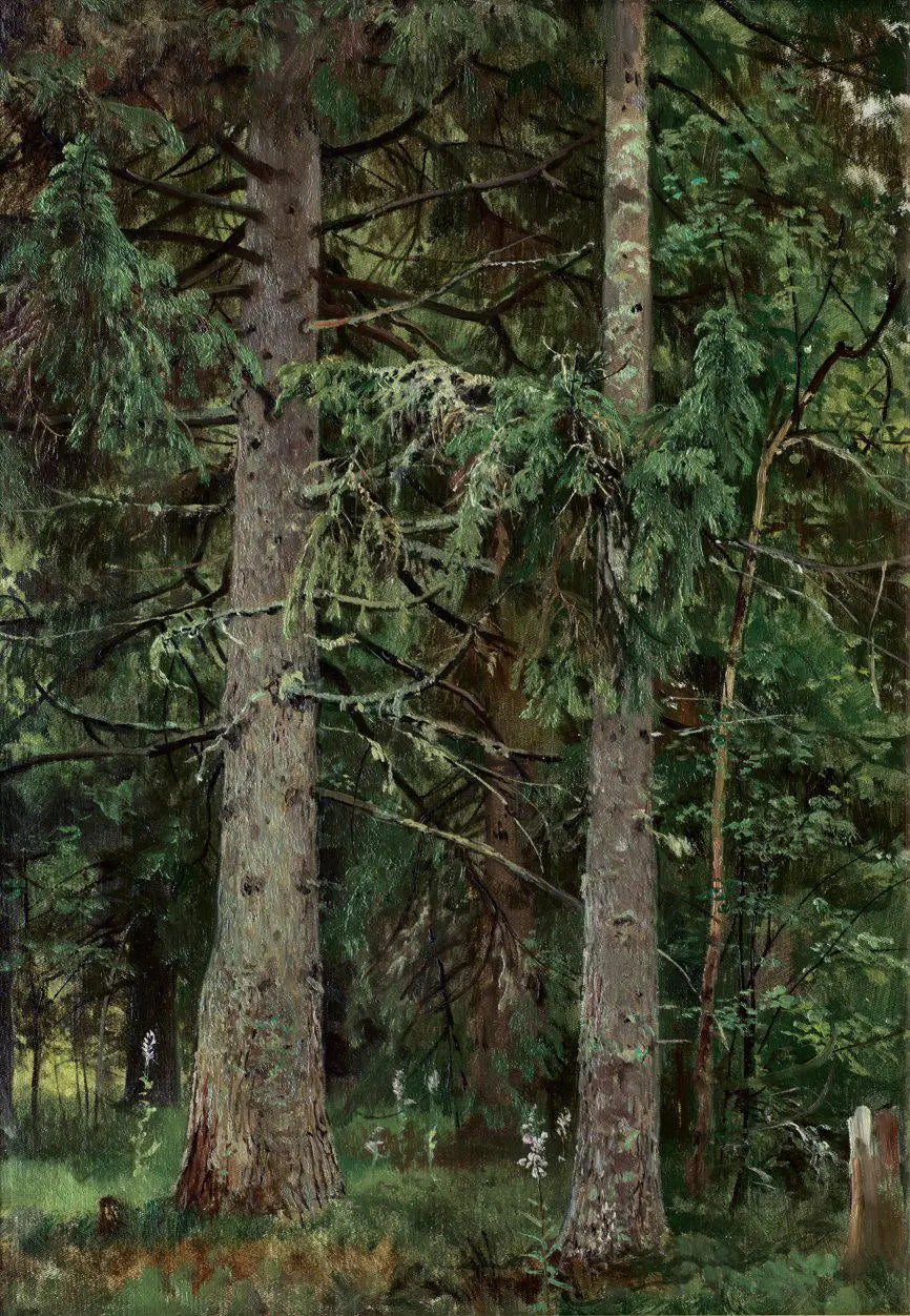 전나무 숲 - 이반 치치킨

Source:
Forêt d'épicéas - Ivan Chichkine