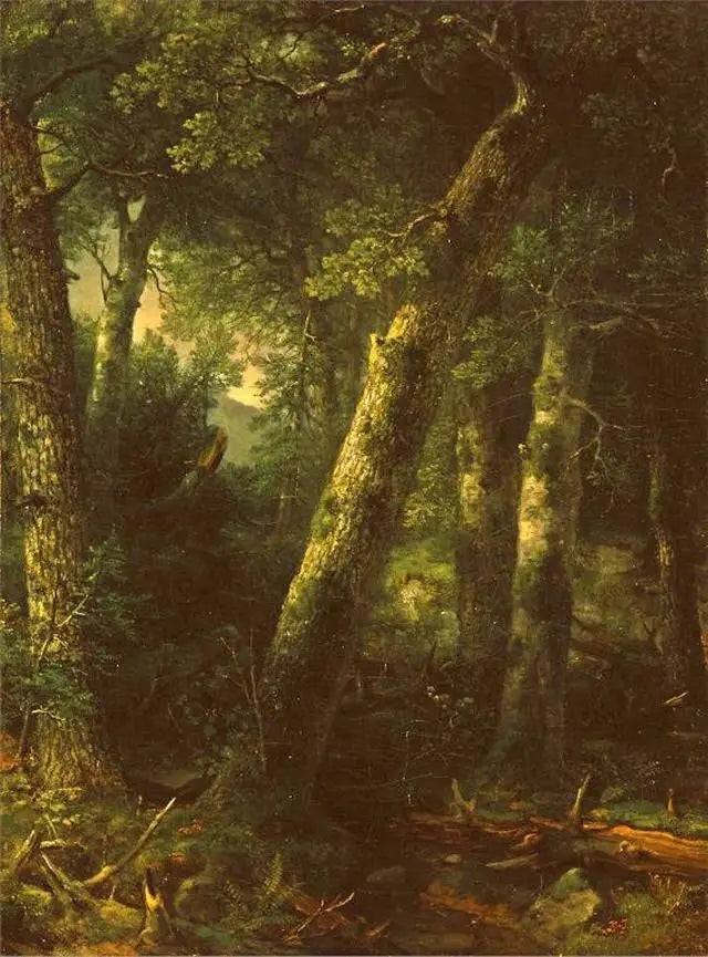아침 빛 속의 숲 - 애셔 브라운 듀란드

Source:
Forêt dans la lumière du matin - Asher Brown Durand