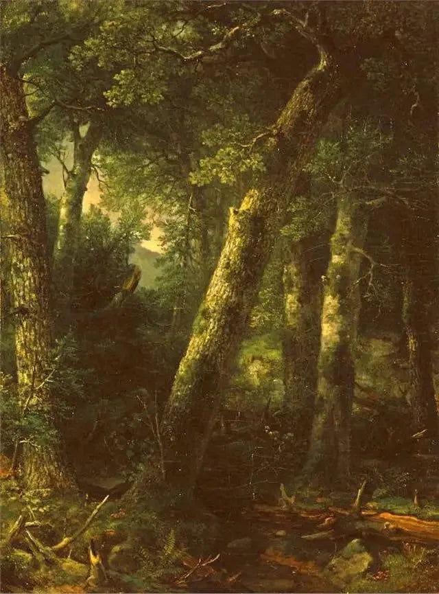 아침 빛 속의 숲 - 애셔 브라운 듀란드

Source:
Forêt dans la lumière du matin - Asher Brown Durand
