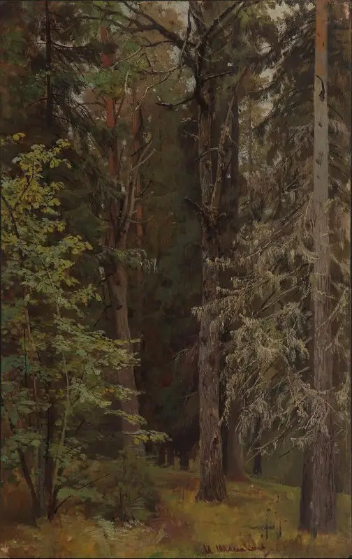 혼합 숲 - 이반 치치킨

Source:
Forêt mixte - Ivan Chichkine