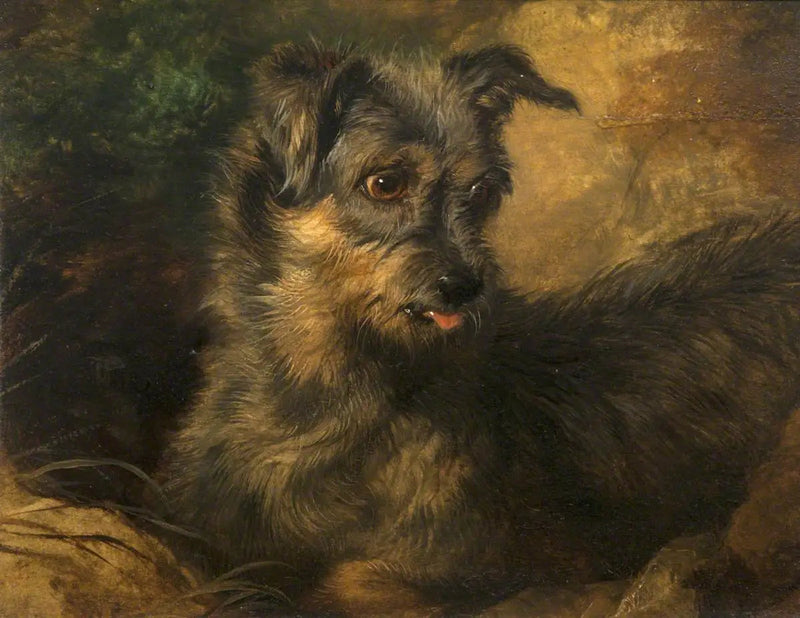 진저' - 에드윈 헨리 랜드시어

Source:
Gingembre' - Edwin Henry Landseer