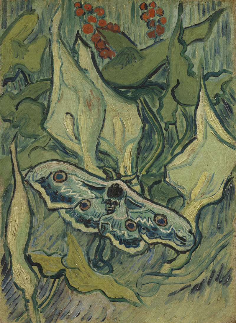 대형 밤공작 - Vincent van Gogh