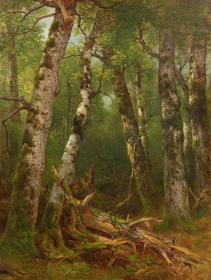 나무 그룹 - 애셔 브라운 듀란드

Source:
Groupe d'arbres - Asher Brown Durand