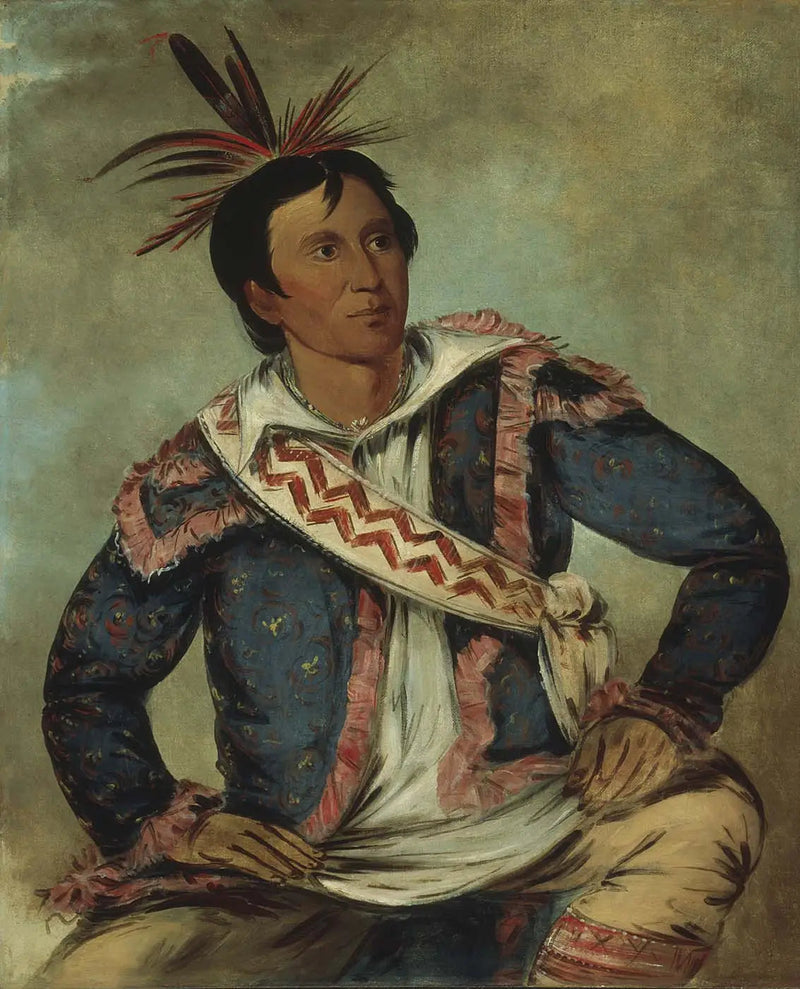 하이초초크니, 뱀장어 거북이, 메티스 - 조지 캐틀린

Source:
Há-tchoo-túc-knee, tortue serpentine, une métisse - George Catlin