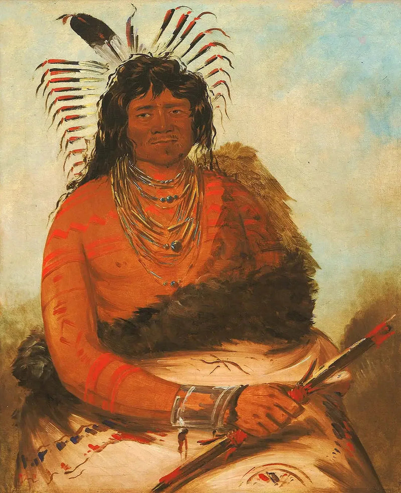 하니, 비버, 전사 - 조지 캐틀린

Source:
Háh-nee, le castor, un guerrier - George Catlin