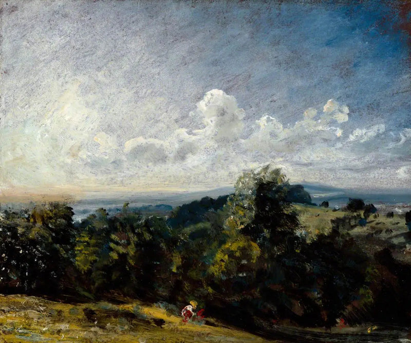 햄스테드 히스, 하로 방향 서쪽 전망 - 존 콘스터블

Source:
Hampstead Heath, vue vers l'ouest en direction de Harrow I - John Constable