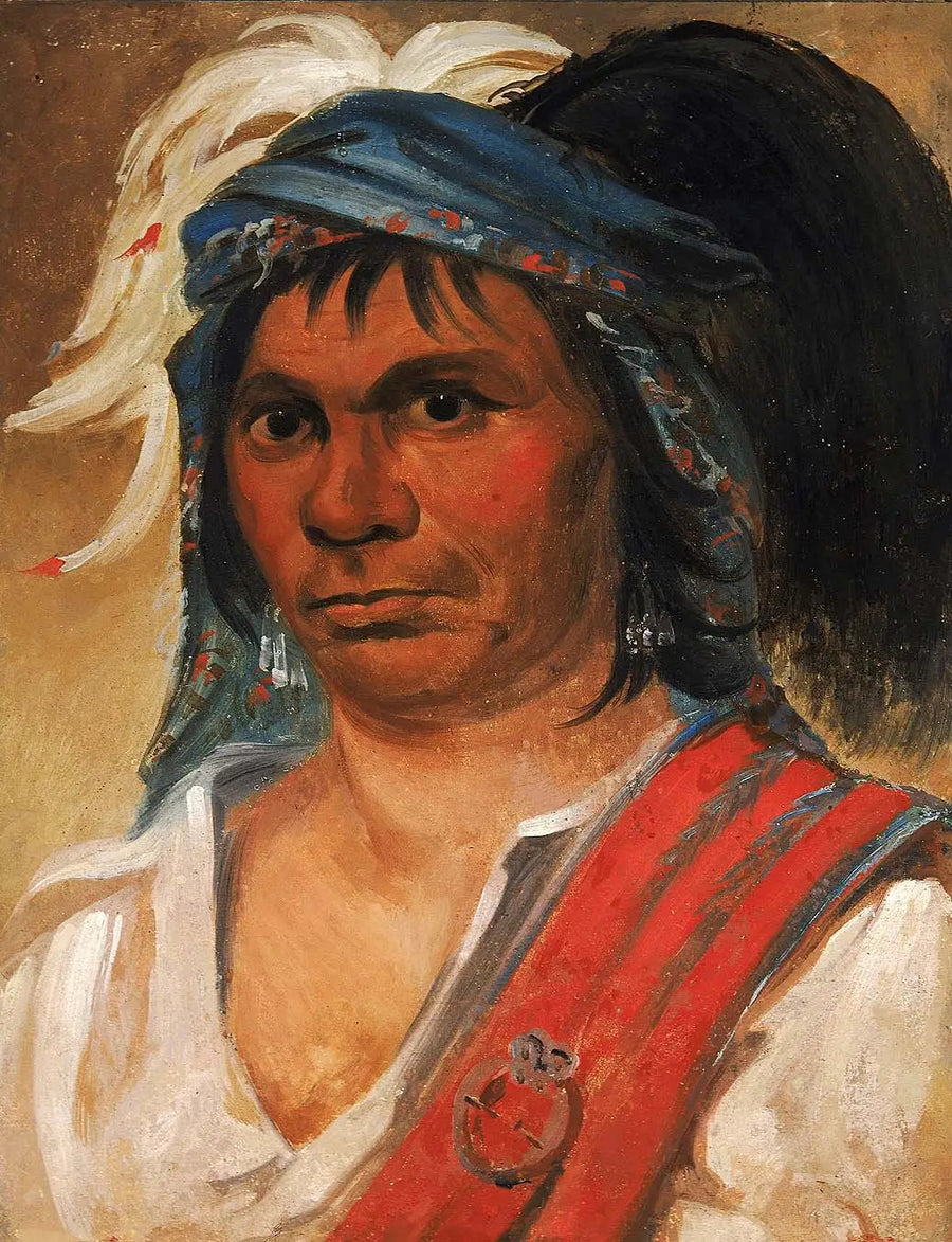 하드 히코리, 친절한 남자 - 조지 캐틀린

Source:
Hard Hickory, un homme aimable - George Catlin