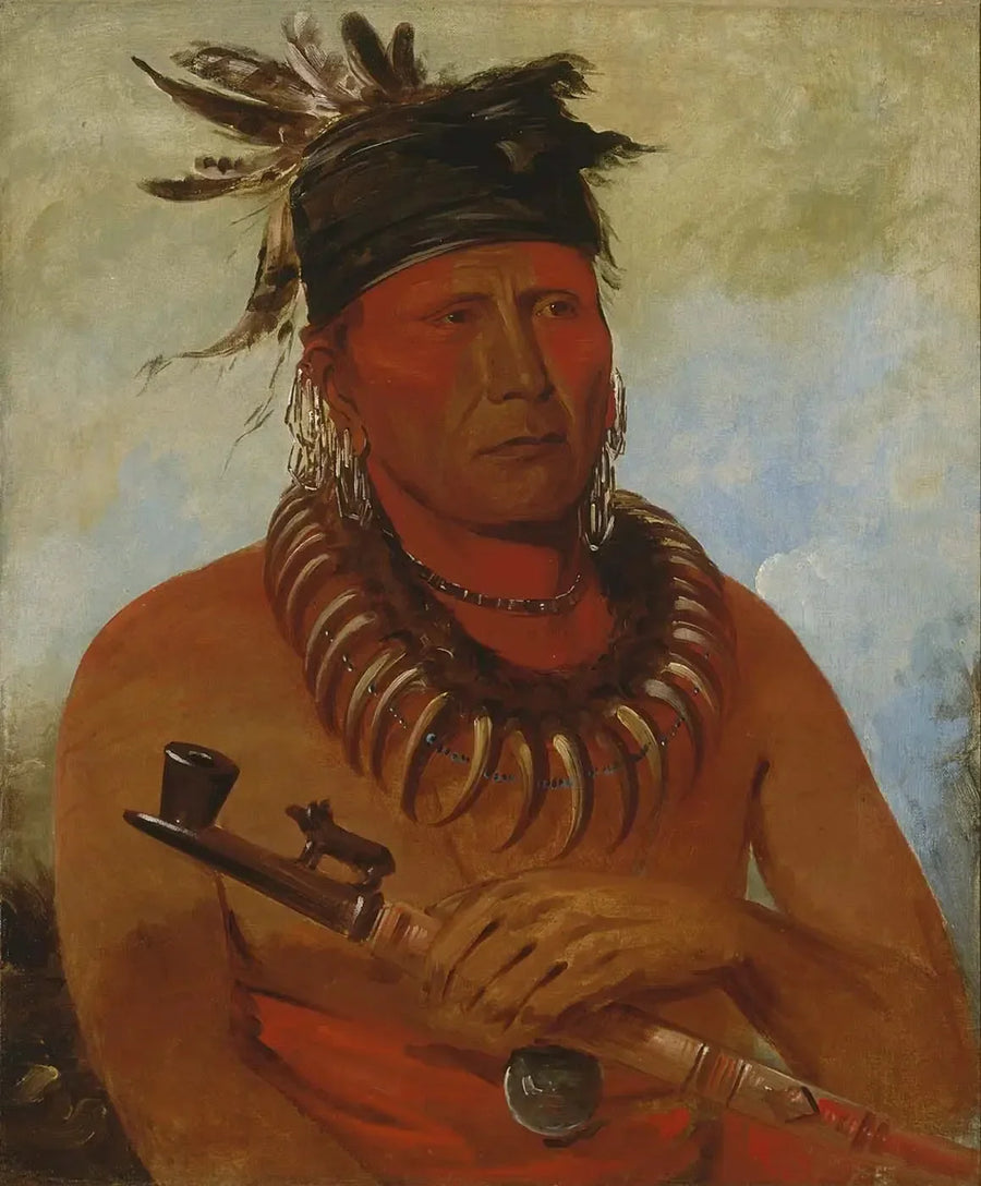 하우체케수그가, 오세이지족을 죽인 자, 부족의 우두머리 - 조지 캐틀린

Source:
Háw-che-ke-súg-ga, Celui qui tue les Osages, chef de la tribu - George Catlin