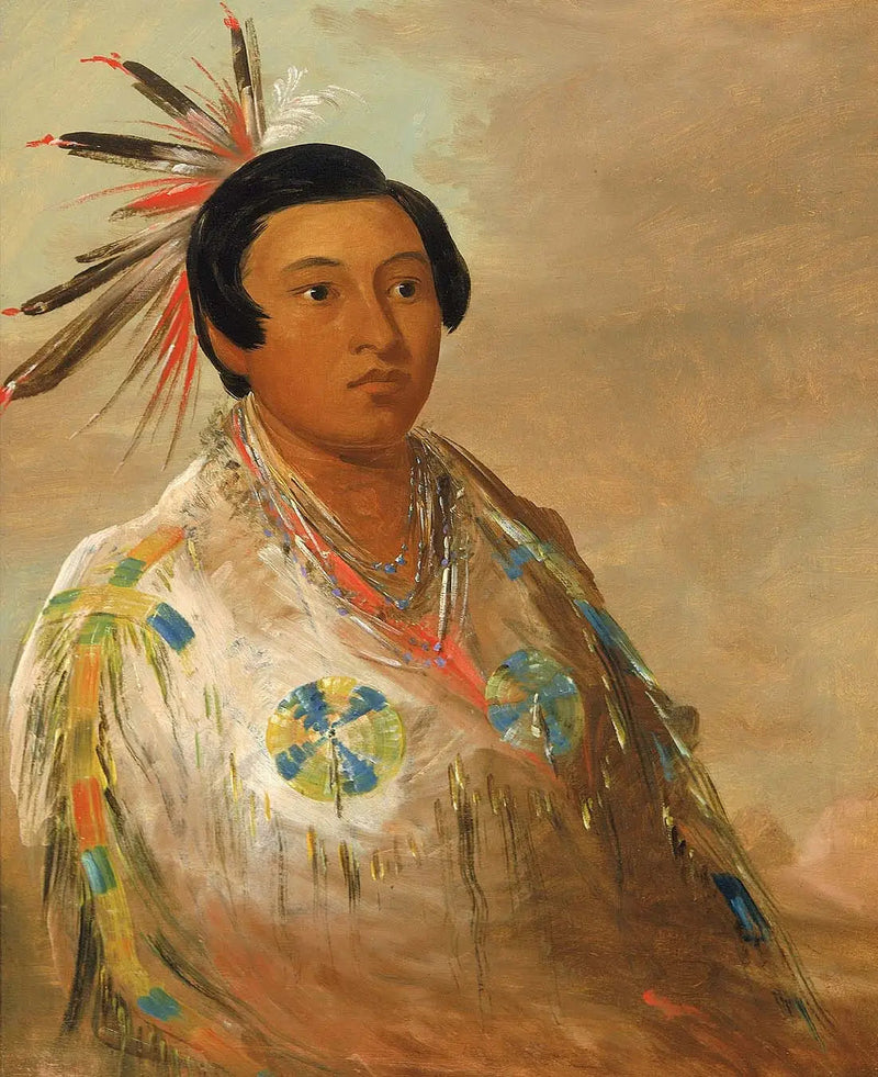헤이도게아츠, 젊은 남자 - 조지 캐틀린

Source:
Hee-doh'ge-ats, un jeune homme - George Catlin