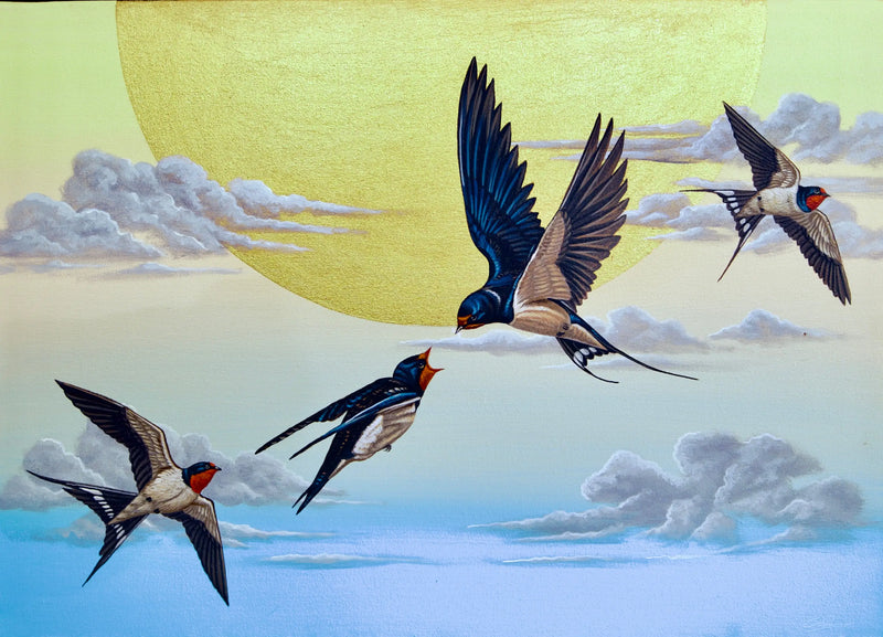 하늘의 제비  | 70 X 50cm