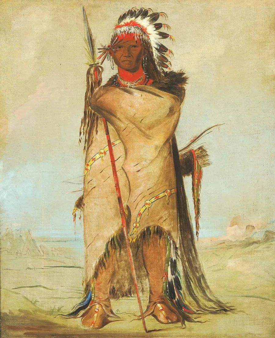 호라토아, 용감한 - 조지 캐틀린

Source:
Hó-ra-tó-a, un Brave - George Catlin