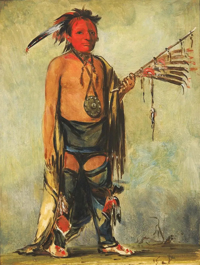 후와네카우, 작은 영혼 - 조지 캐틀린

Source:
Hoo-w'a-ne-kaw, petit élan - George Catlin