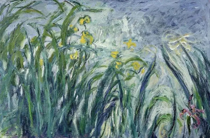 노란색과 보라색 아이리스 - Claude Monet