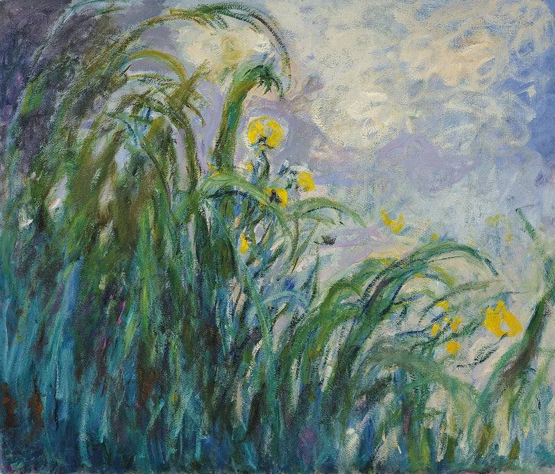 노란 아이리스 - Claude Monet