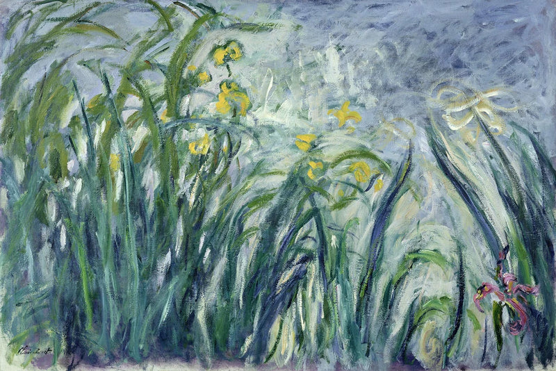 노란색과 보라색 아이리스 - Claude Monet