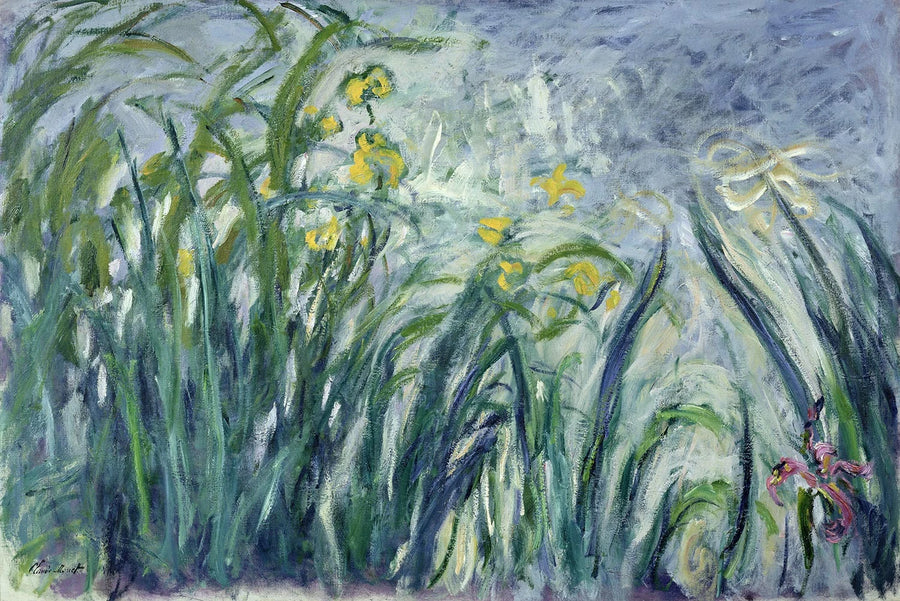 노란색과 보라색 아이리스 - Claude Monet