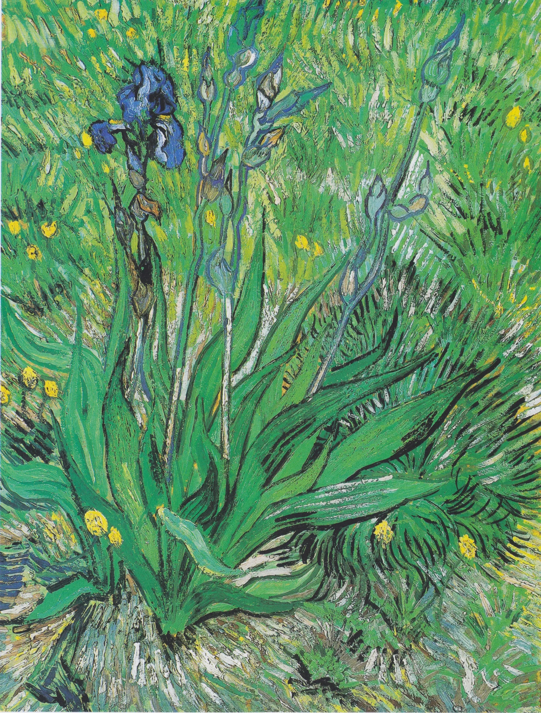 Iris - Vincent van Gogh image 1 reproduction de peinture à l’huile
