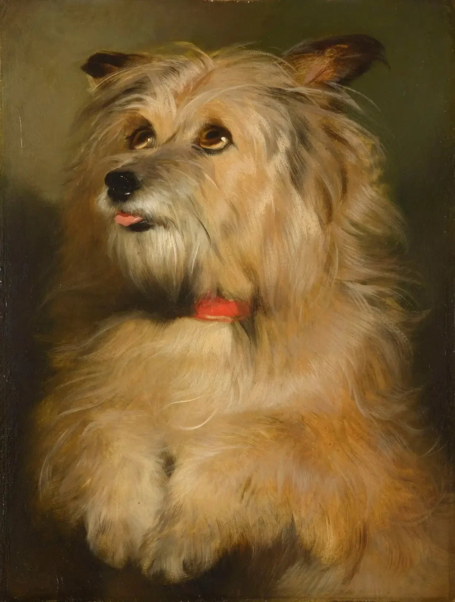 이슬레이 - 에드윈 헨리 랜드시어

Source:
Islay - Edwin Henry Landseer
