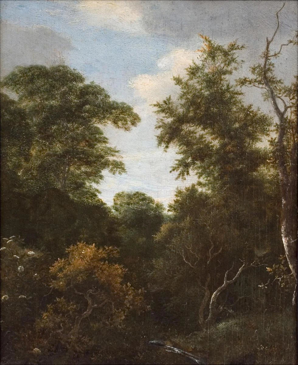 Sous-bois au sureau en fleurs, peinture de Jacob van Ruisdael