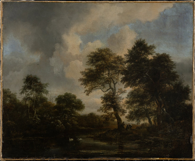 Lac forestier aux deux cygnes - Jacob van Ruisdael