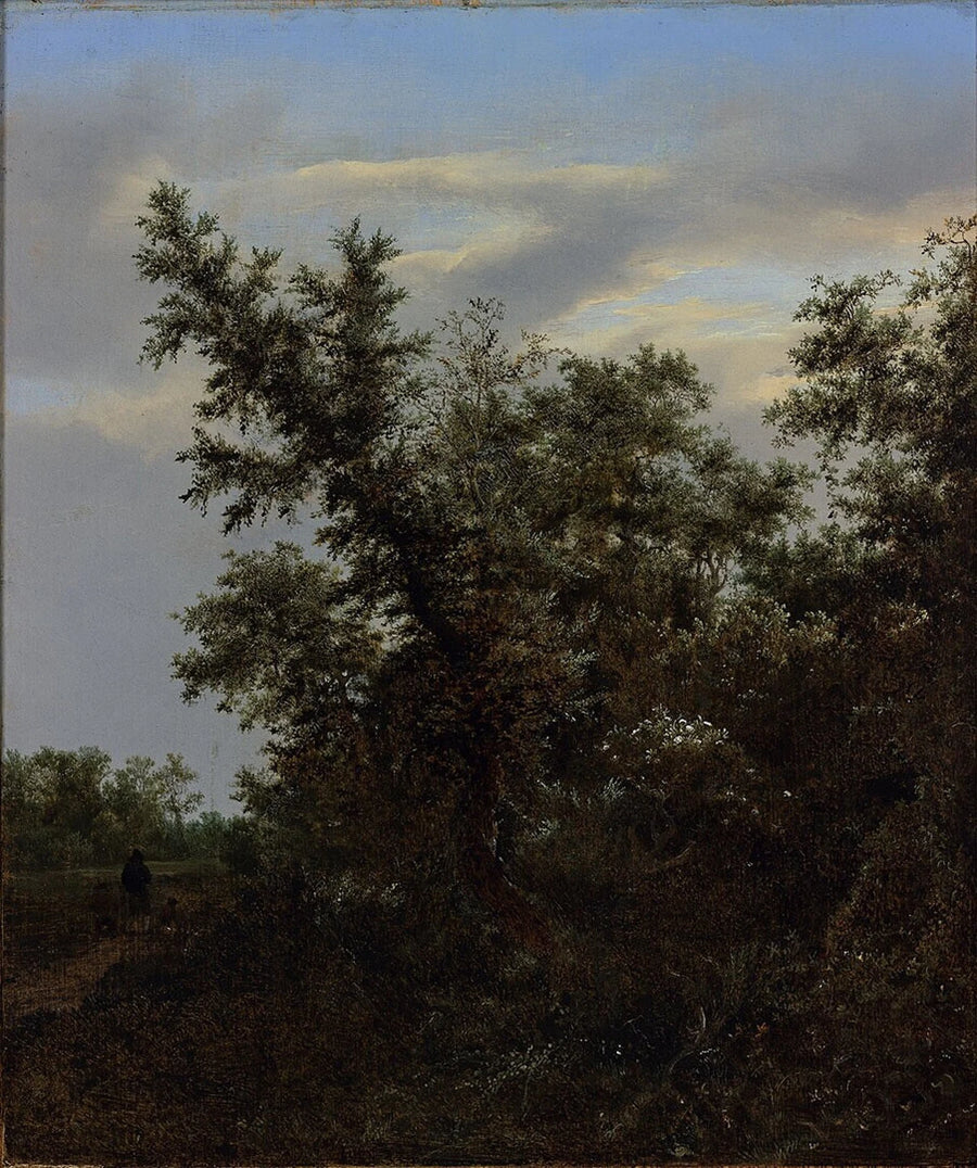 Vue de forêt du musée Boijmans Van Beuningen, peinture de Jacob van Ruisdael
