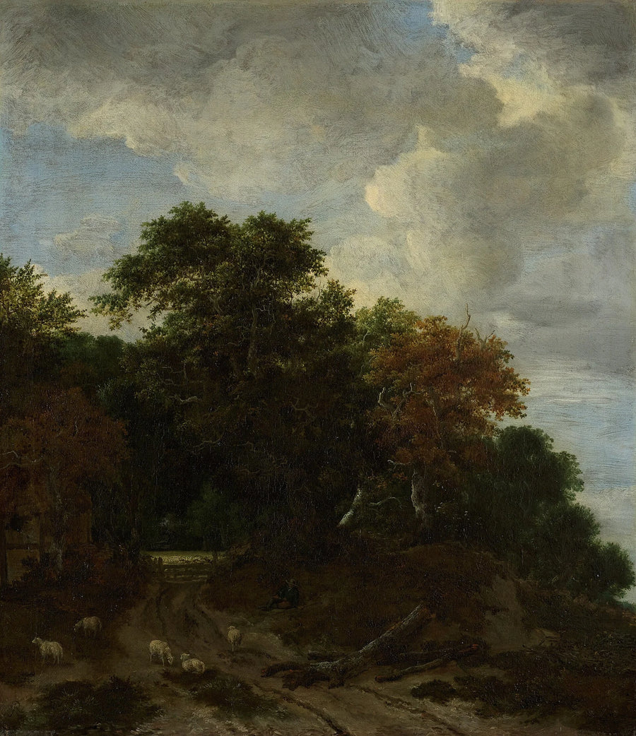 Paysage forestier de Princeton, peinture de Jacob van Ruisdael