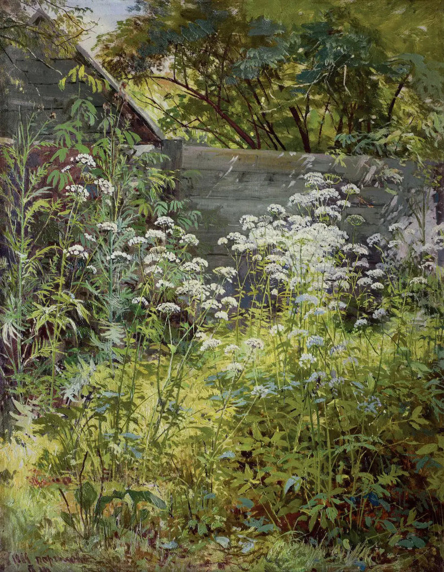 식물로 뒤덮인 모퉁이 정원. 애고포디움 - 이반 치치킨

Source:
Jardin d'angle envahi par la végétation. Aegopodium - Ivan Chichkine