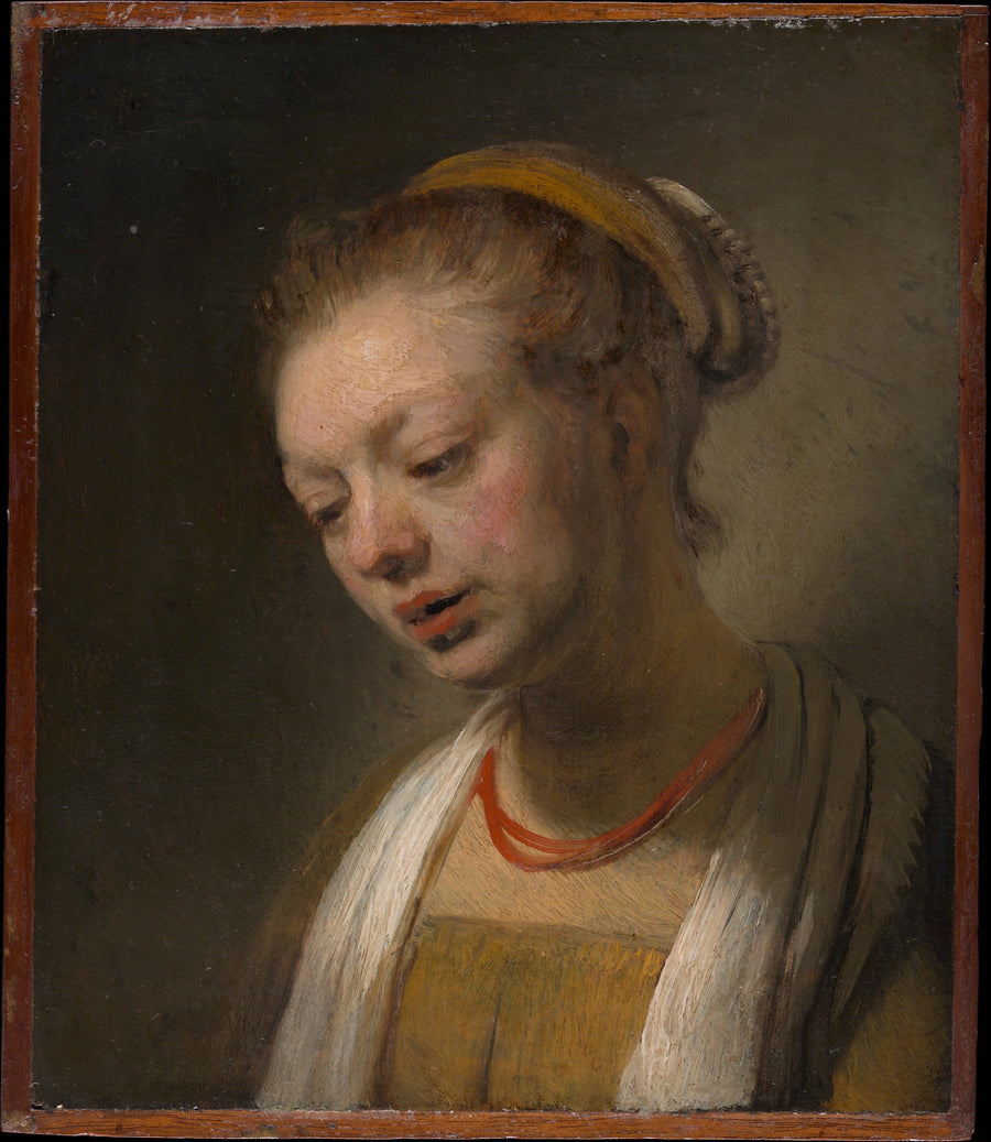 Jeune femme au collier rouge — dans le style de Rembrandt, vers 1645, Metropolitan Museum of Art