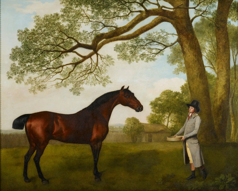 존 가스코인과 흑말 - 조지 스텁스

Source:
John Gascoigne avec un cheval bai - George Stubbs