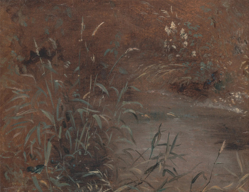 수영장 옆의 제방 - 존 콘스터블

Source:
Joncs au bord d'une piscine - John Constable