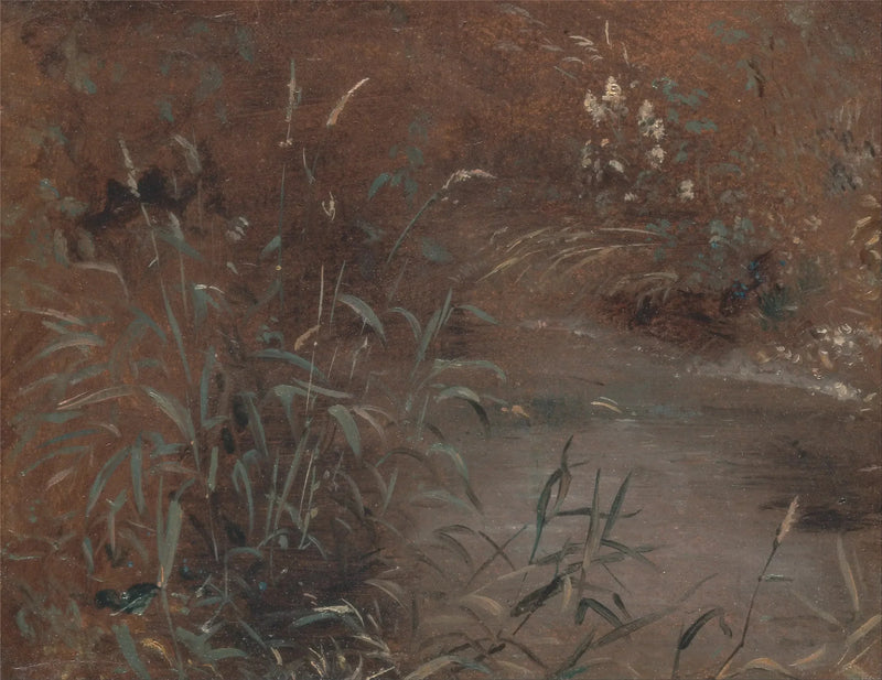 수영장 옆의 제방 - 존 콘스터블

Source:
Joncs au bord d'une piscine - John Constable