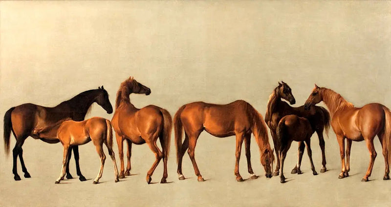 이전 병력 없는 암말과 망아지 - 조지 스텁스

Source:
Juments et poulains sans antécédents - George Stubbs