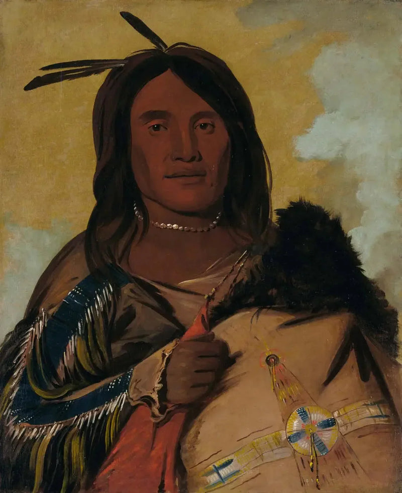 카페스카다, 셸 맨, 오글라라 용감한 전사 - 조지 캐틀린

Source:
Ka-pés-ka-da, Shell Man, un Oglala Brave - George Catlin