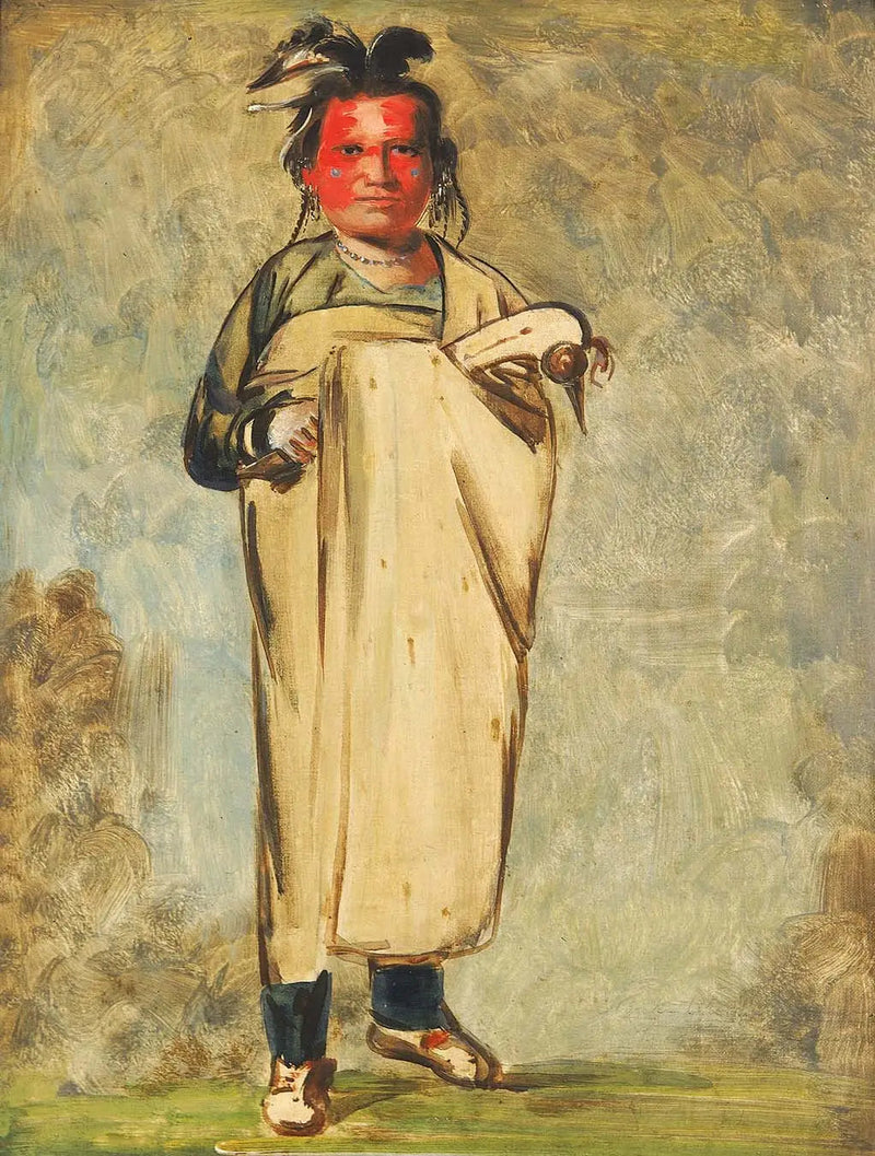 카우카우네초아, 용감한 - 조지 캐틀린

Source:
Káw-kaw-ne-chóo-a, un Brave - George Catlin