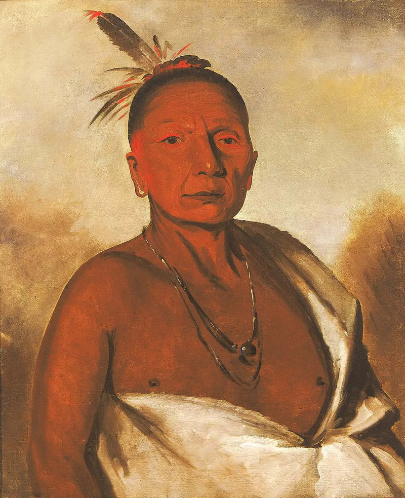 키드-어-데이, 용감한 저명한 사람 - 조지 캐틀린

Source:
Kid-à-day, un brave distingué - George Catlin